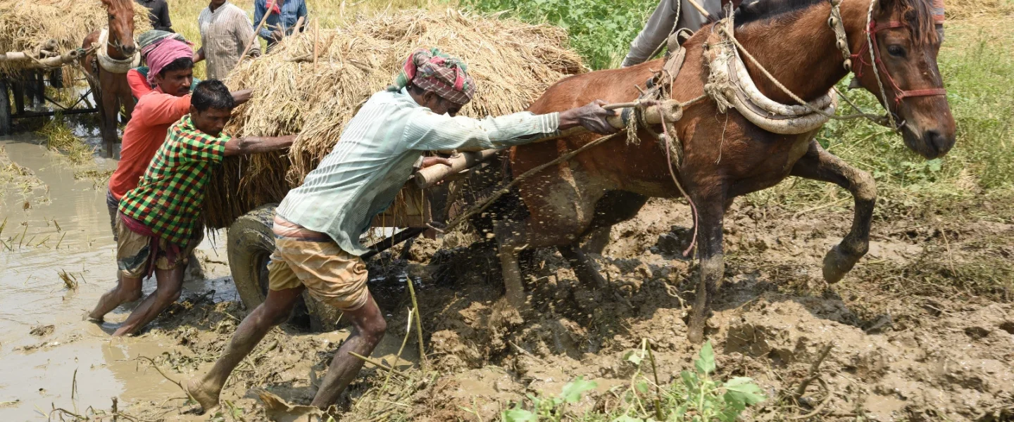 WhatsApp Image 2025-06-17 at 1.25.38 PM