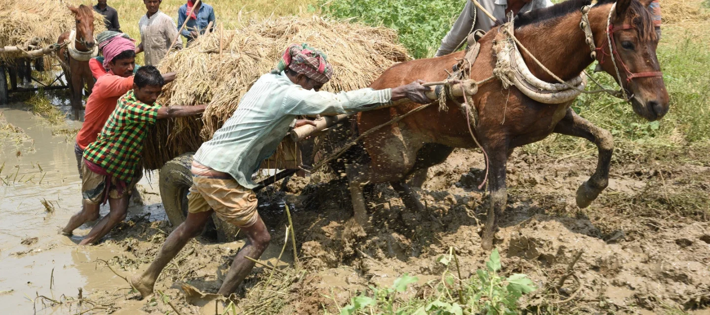 WhatsApp Image 2025-06-17 at 1.25.38 PM