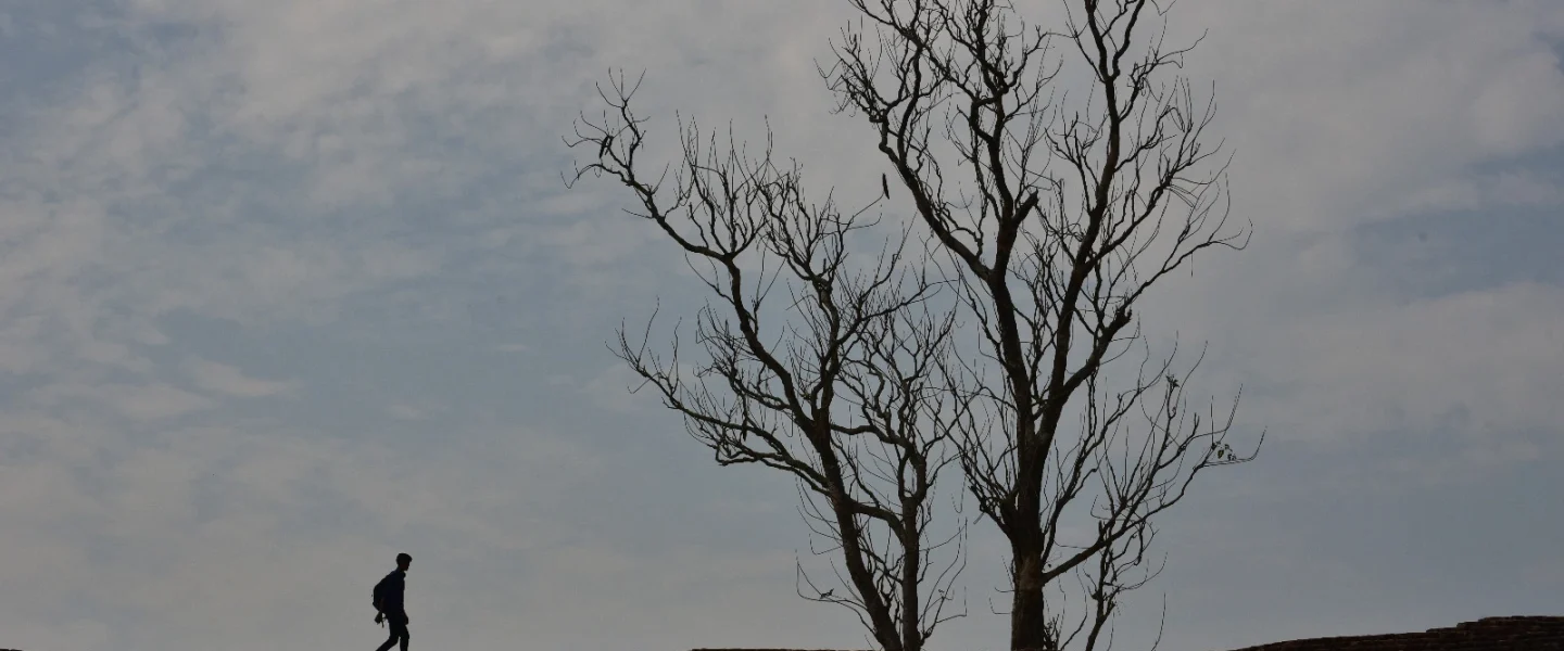 WhatsApp Image 2025-06-17 at 1.25.47 PM