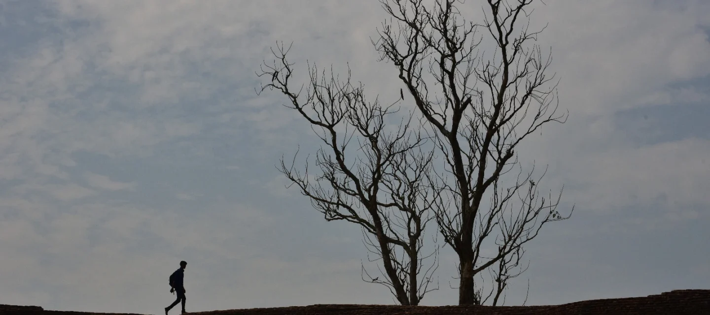 WhatsApp Image 2025-06-17 at 1.25.47 PM